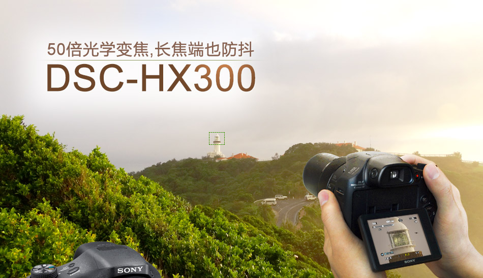 美国红枫价格2017报价_索尼dsc-hx300报价_2018美国红枫报价