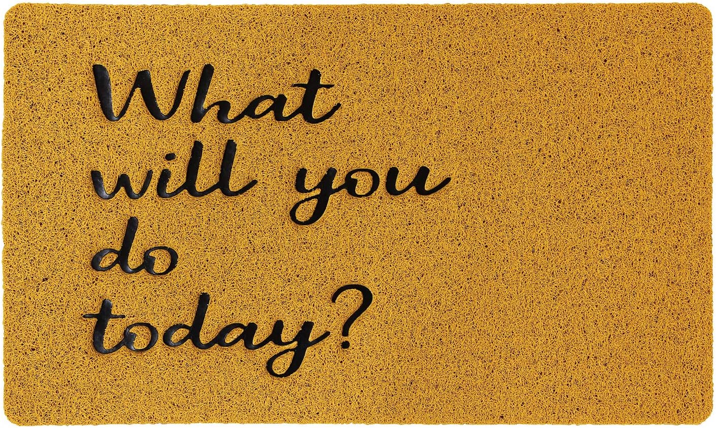 spice of life 玄关地垫 松软的地垫 s尺寸 what will you do today?