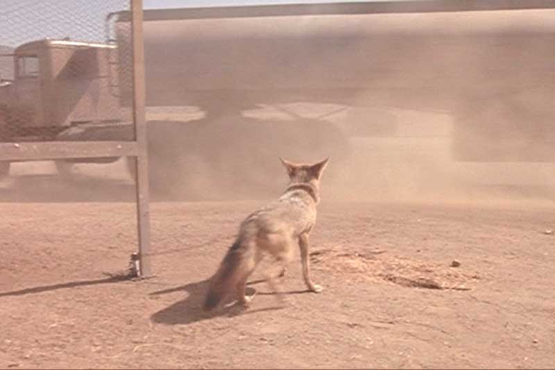 飞轮喋血(DVD9)-DVD-亚马逊中国