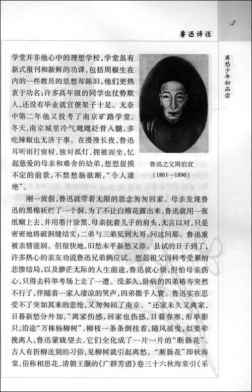 《鲁迅诗说》赵冰波