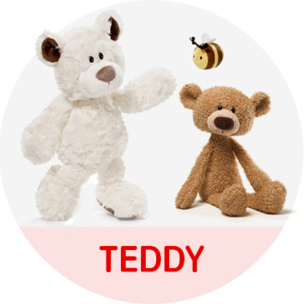 teddy