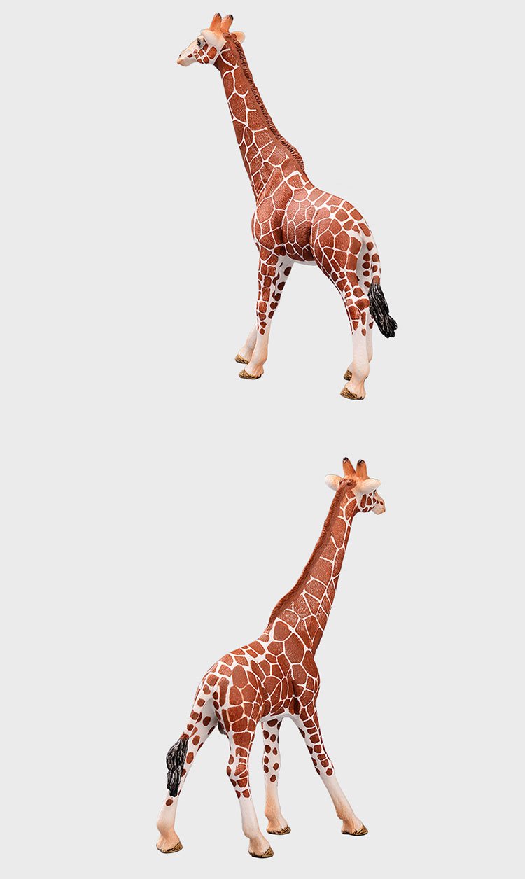 schleich 思乐 wild life系列 公长颈鹿玩具