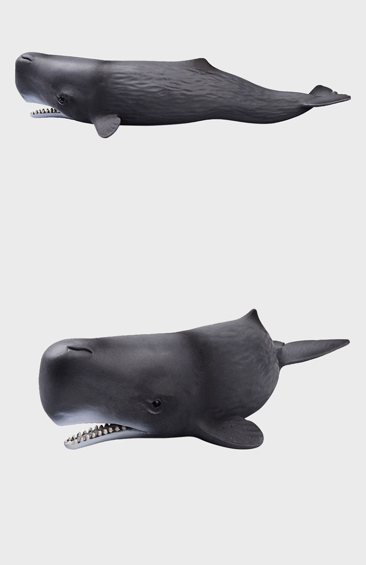 life系列 动物模型 仿真收藏 儿童玩具 野生动物 仿真模型 抹香鲸玩具