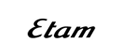 艾格etam