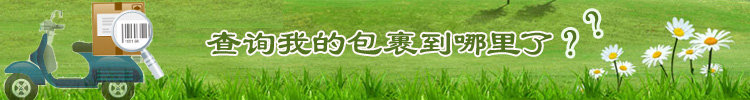 查询包裹状态