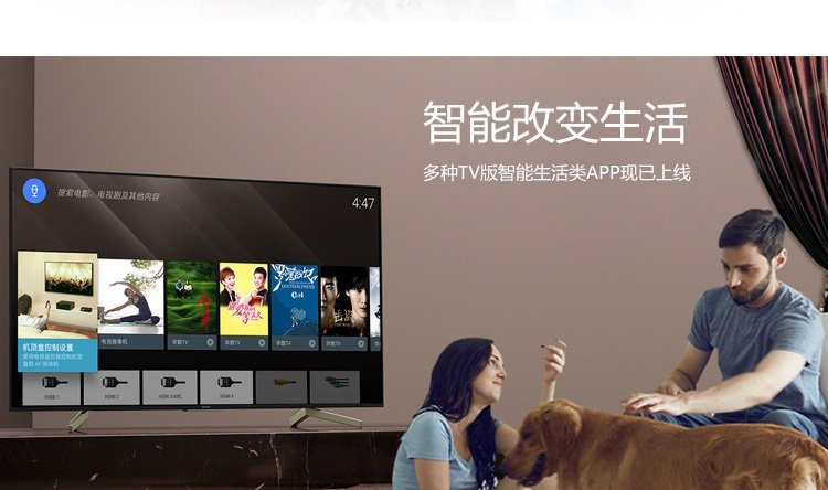 SONY 索尼 KD-55X8500F 55英寸 4K超高清 L