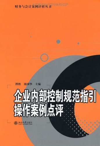 企业内部控制规范指引操作案例点评 (财务与会