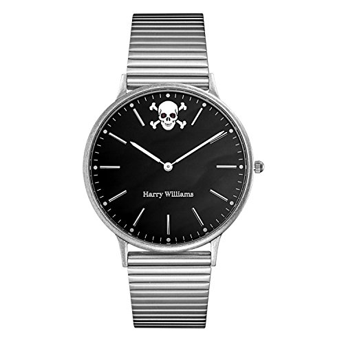 harry williams 意大利品牌 骷颅系列 石英男士手表 hw-2402m/14md