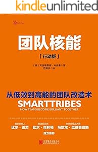 团队核能：行动版（风靡500强企业的团队管理方法！比尔·盖茨、比尔·克林顿鼎力推荐）