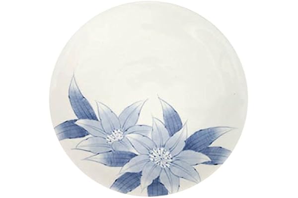 ctoc japan 五号 平盘 03-620105 : 亚马逊中国: 家居,厨具,家装