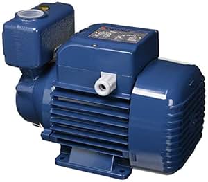 pedrollo 电动泵,灰色