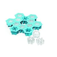 TrueZoo 雪花硅胶模具和冰立方盘
