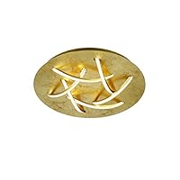 Trio Leuchten 吸顶灯，金属，集成，3.6 W，镍垫，18 x 55 x 8.5 厘米 Goldfarbig Durchmesser 45cm 45 x 45 x 8.5 cm 677010679 Dolphin