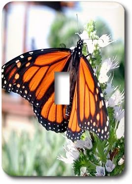 3drose llc lsp_1106_1 monarch 蝴蝶,单拨动开关