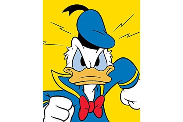 00 厘米 : 亚马逊中国: 家居