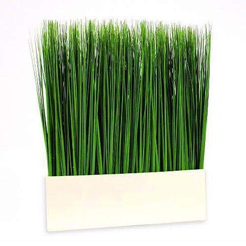 europalms 76 x 60 cm dune grass