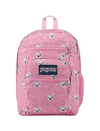 JanSport 男式 大容量校园户外双肩包 TDN7