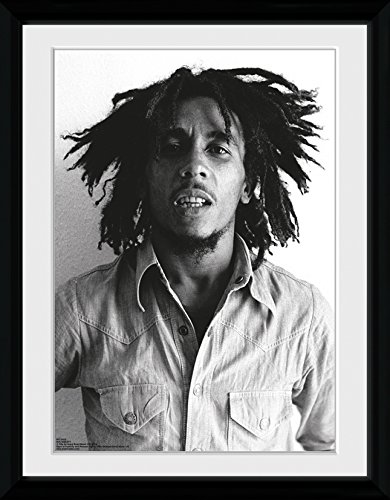 商品gb eye 16 x 12-inch bob marley one love framed photograph