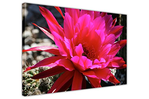 pink flower canvas wall art pictures floral prints home