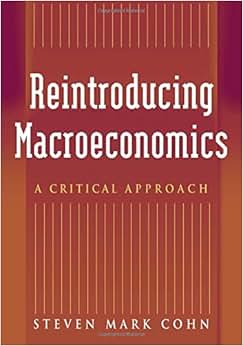 《reintroducing macroeconomics: a critical approach