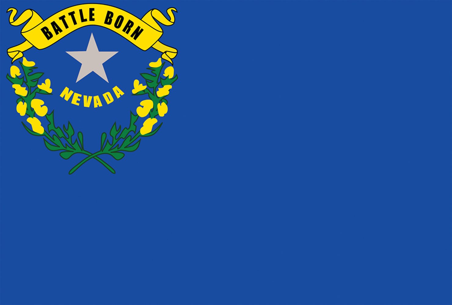 内华达州旗 house flag-28" x40" 1010331