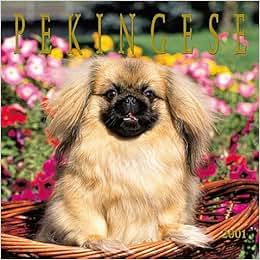 《pekingese 2001 calendar》 【摘要 书评 试读】图书