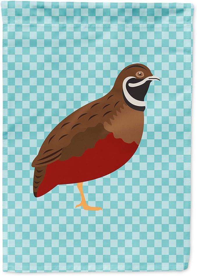 carolines treasures bb8130chf 中国画或王尾巴蓝色格子帆布旗,多色