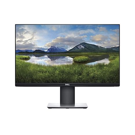 Dell 24 P2419H 61 厘米(24 英寸)显示器,多色-
