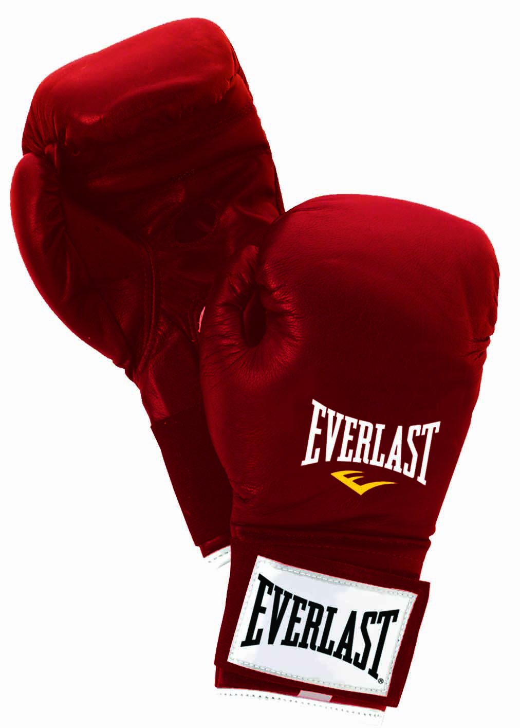 everlast 141拳击训练手套–396.9gram