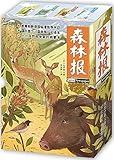 森林报•美绘全译本:春夏秋冬(套装共4册)