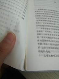 《中国文学思想通史:宋代文学思想史》 张毅【