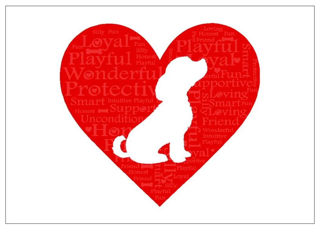 nw pitney ink puppy love pet sympathy 卡片,17.78 x 12.