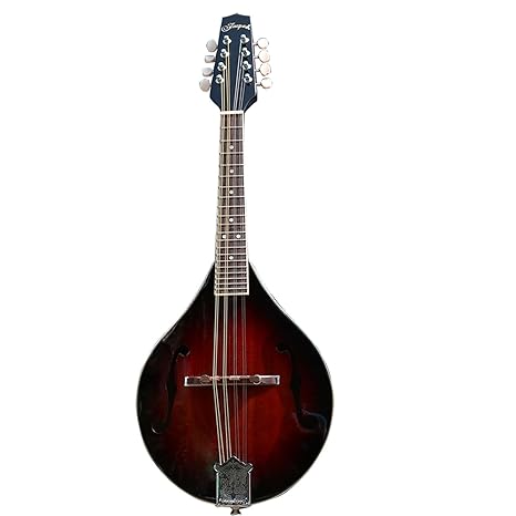 KAKIKA 曼陀铃曼陀林西洋管弦乐器拨弦乐器,