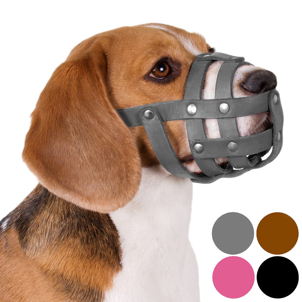 collardirect beagle 狗嘴套皮革黑色棕色粉色灰色小猎犬小号 puppies