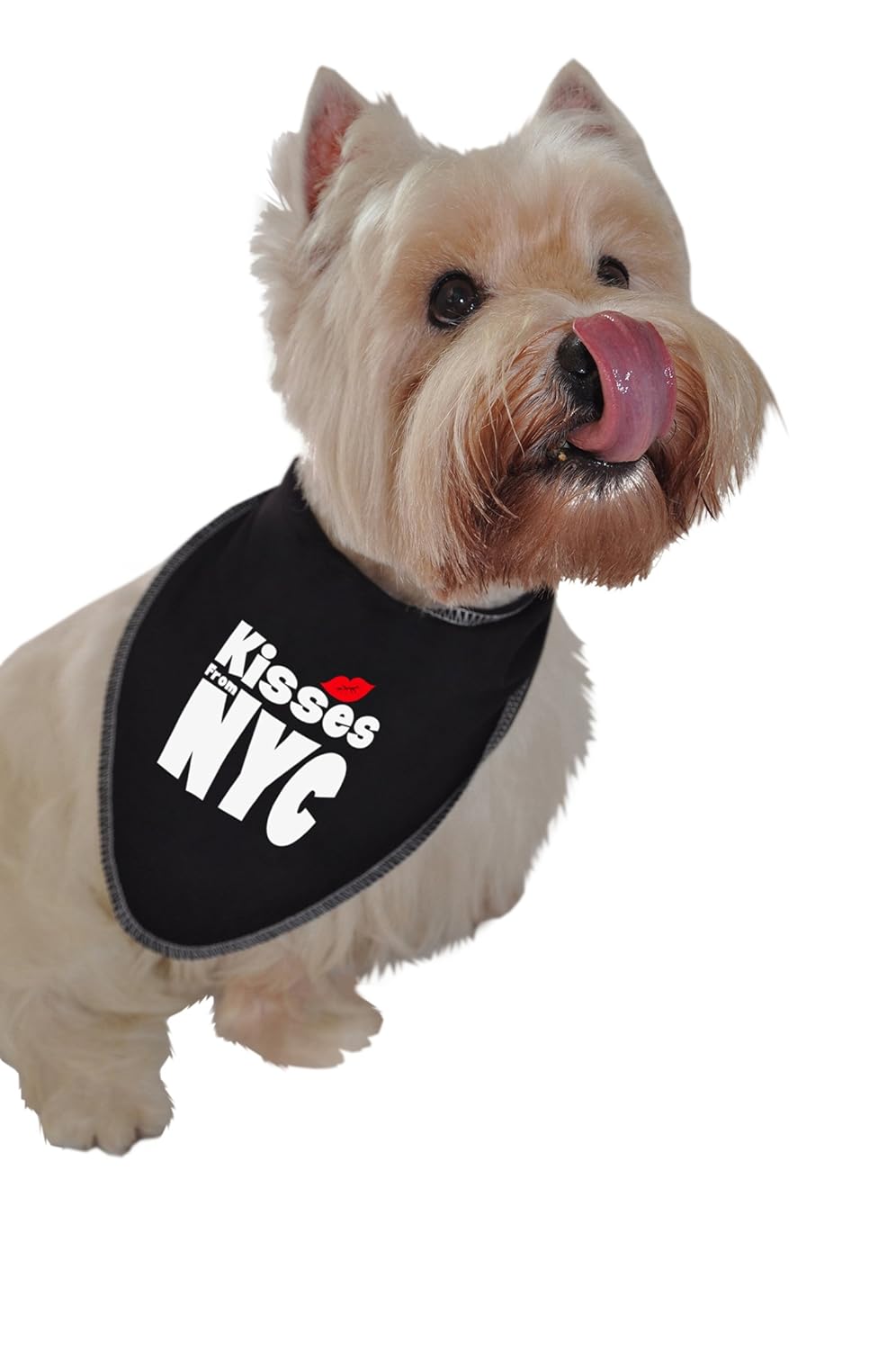 ruff ruff and meow doggie bandana,nyc 吻,黑色,s码