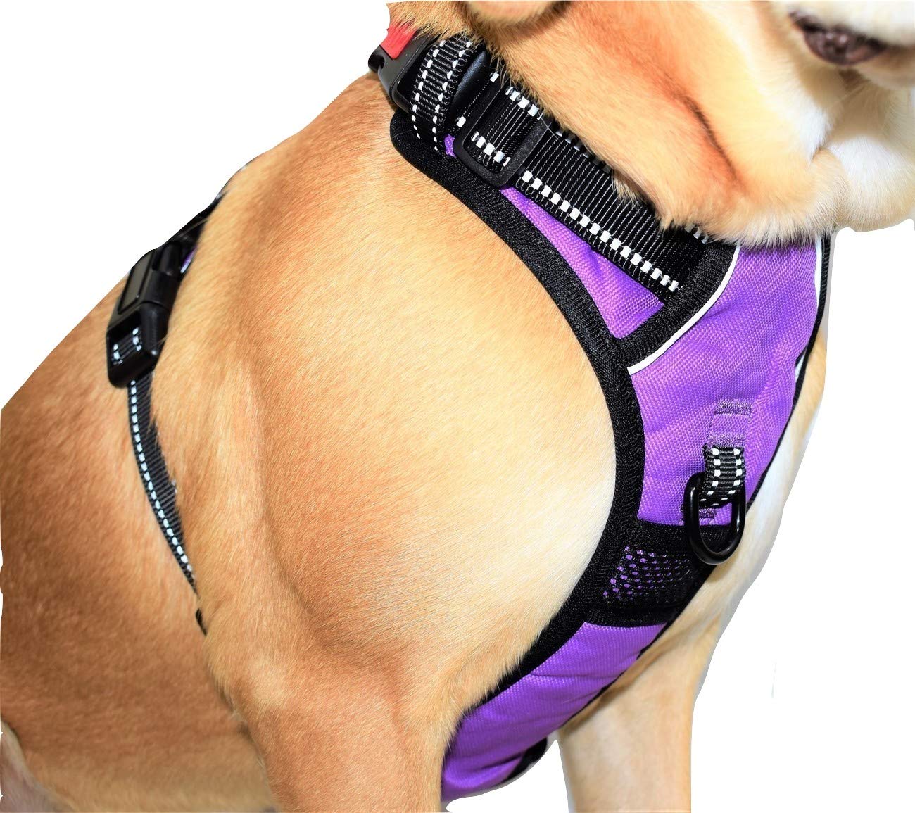 防拉狗狗胸背带宠物胸背带和两个牵引配件可调反光柔软背心,适合中