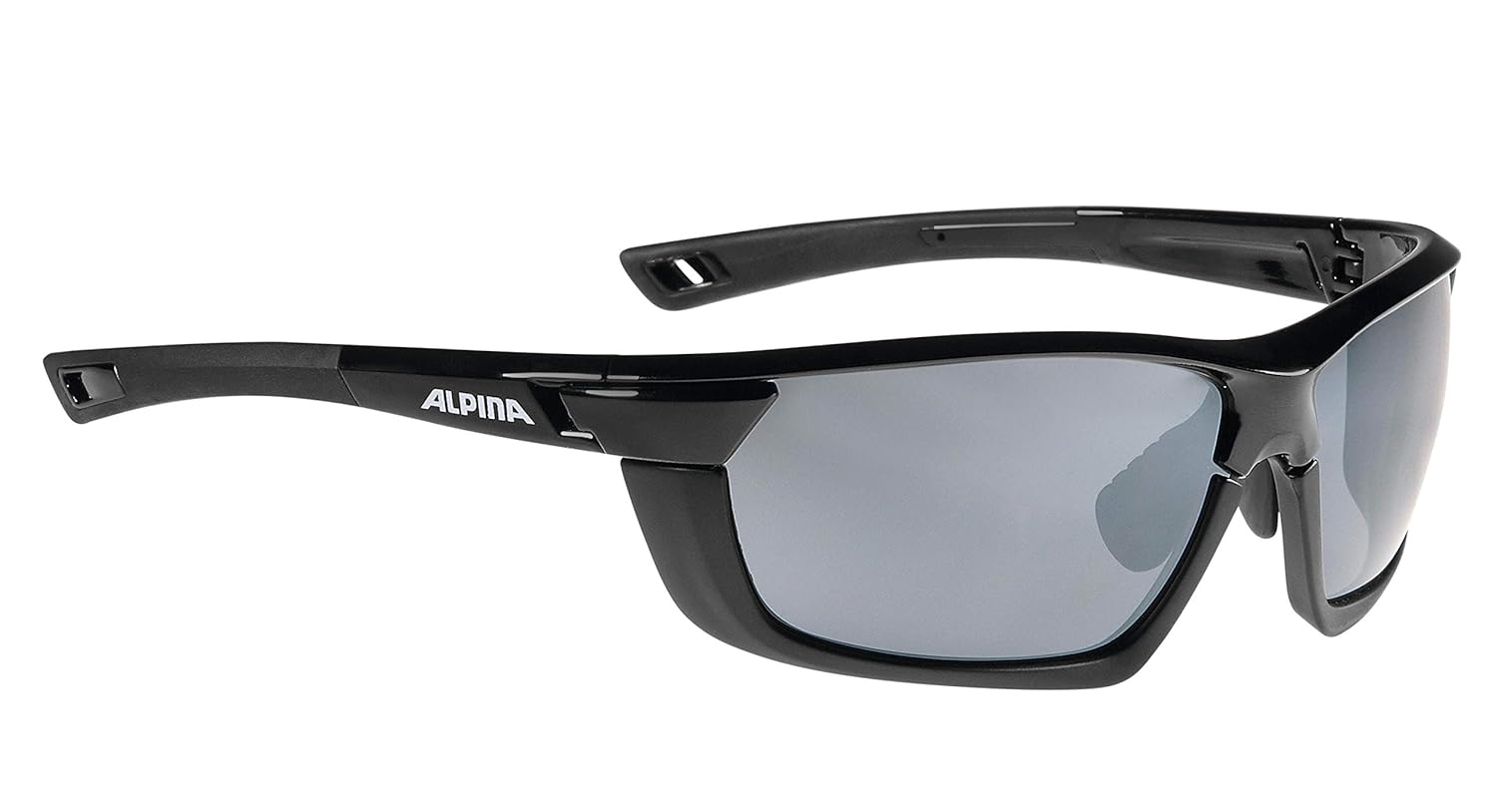 alpina(阿尔皮娜) tri-scray multiframe 太阳镜 a8583331 黑色/黑色