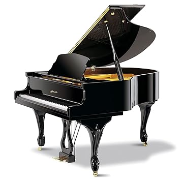 【亚马逊海外购】 pearl river 珠江&nbsp 里特米勒三角钢琴 原声