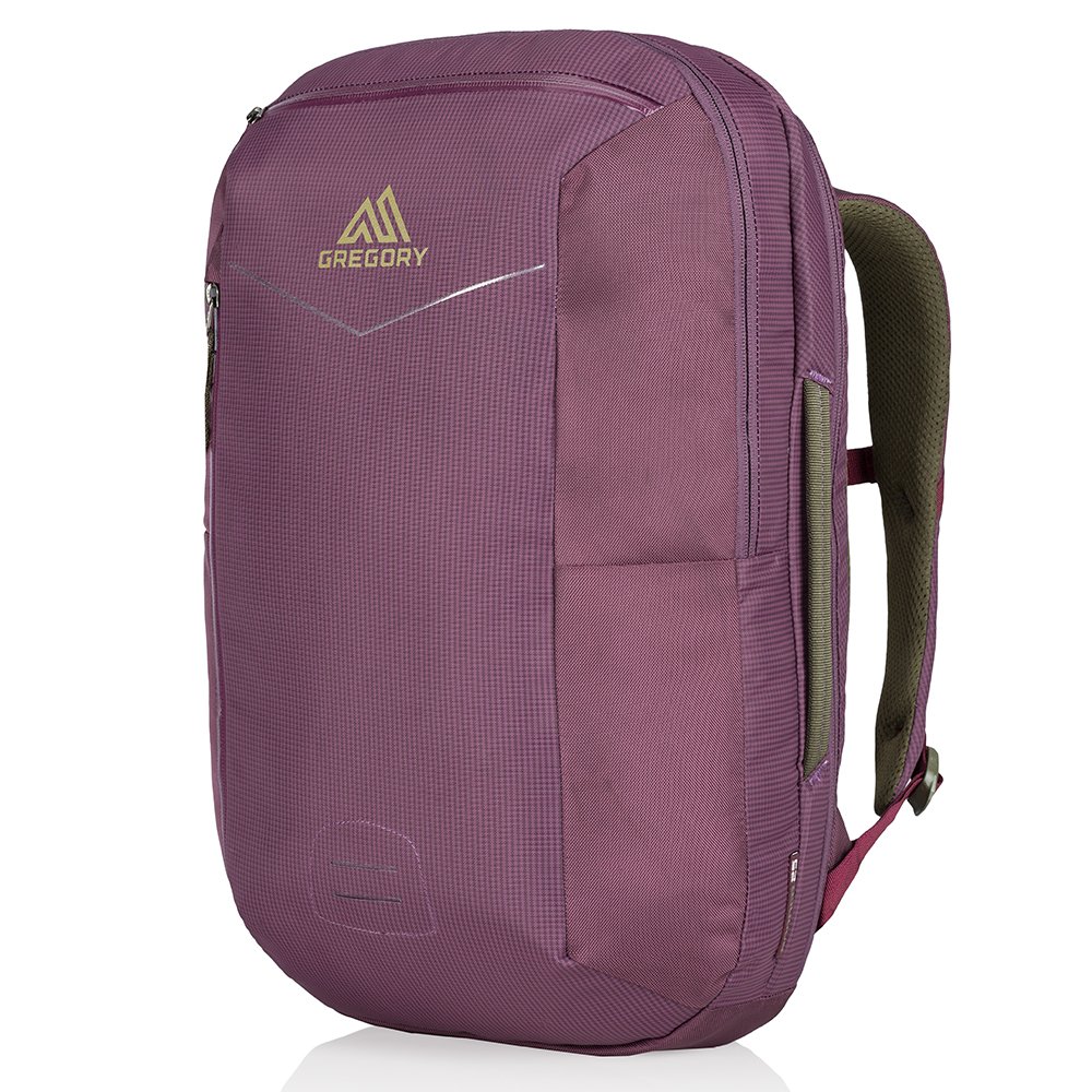 gregory 格里高利 男式 25l 休闲商务背包 双肩包 border25