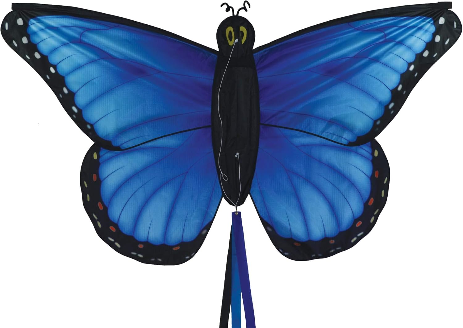 5 英寸monarch 蝴蝶风筝 blue morpho