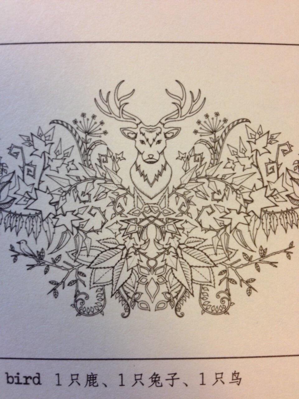 《秘密花园2:魔法森林》 乔汉娜·贝斯福 (johanna basford)【摘要