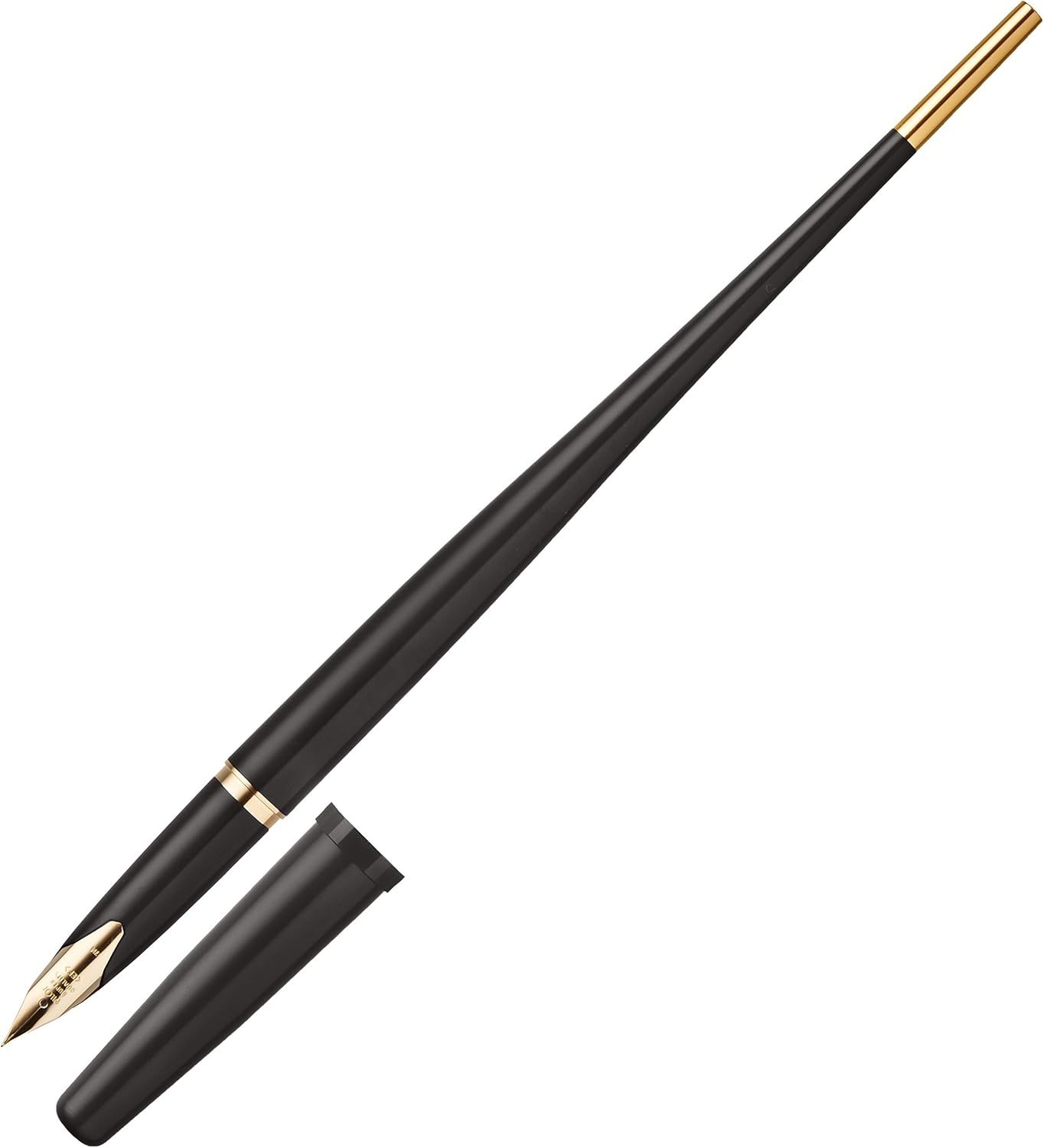 pilot 超细钢笔,黑色笔杆 (dpn-200-b-ef)