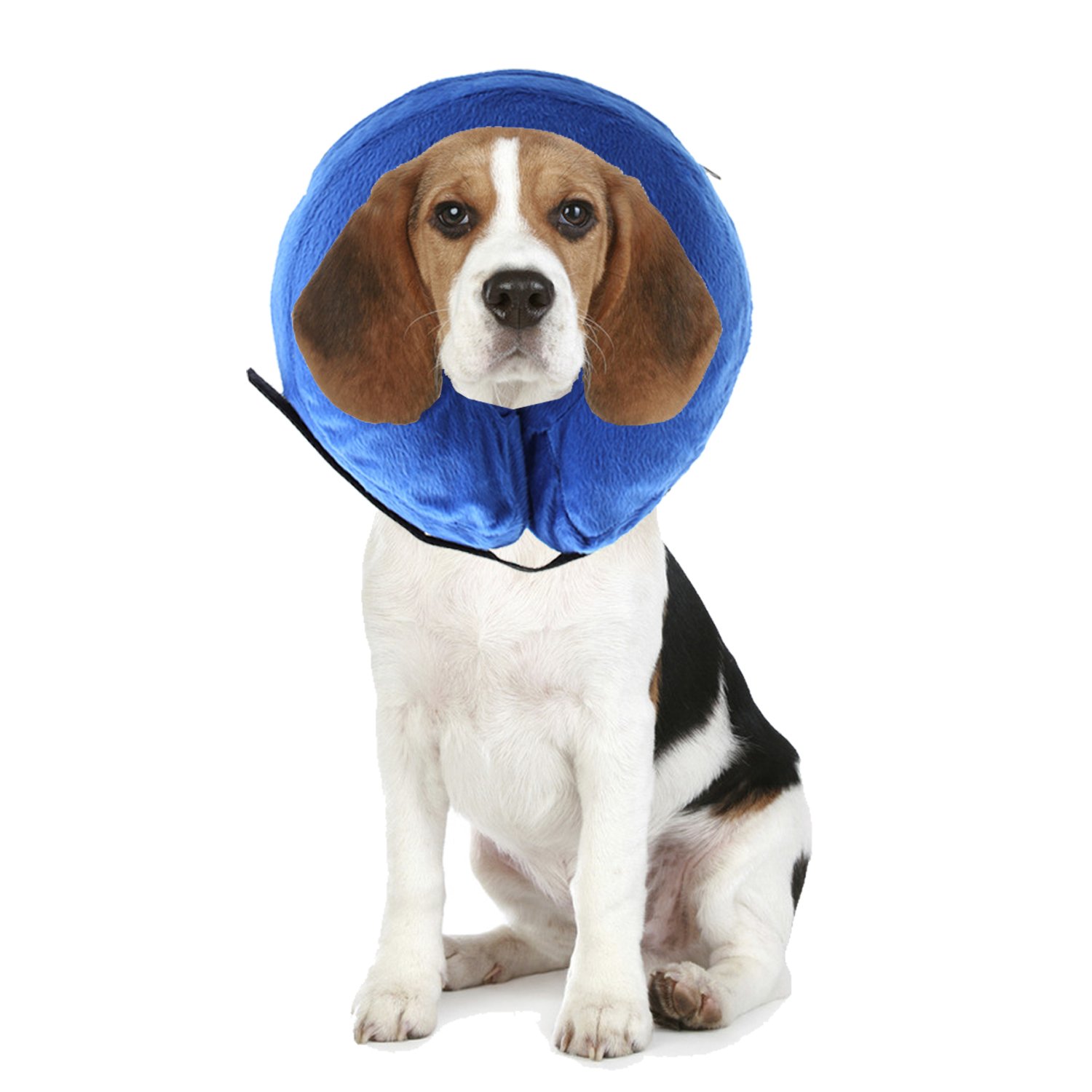 annaeye procollar 宠物狗 e 型项圈 - 舒适康复项