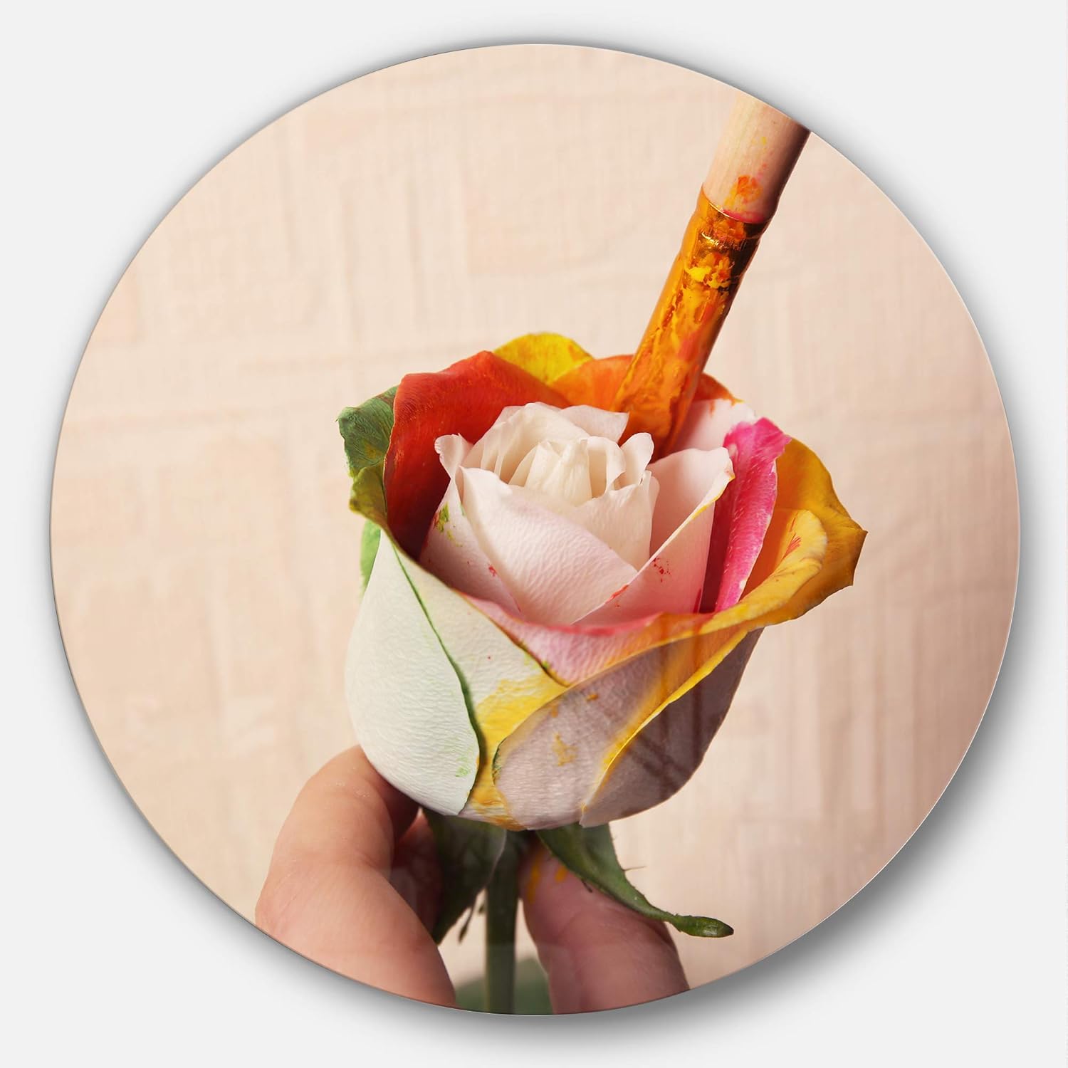 designart mt14921 人绘画美丽玫瑰现代花卉圆盘金属艺术品 - 白色