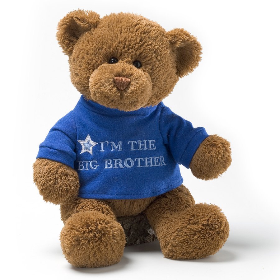 gund im the big brother 毛绒熊玩具 蓝色,棕色 无尺寸