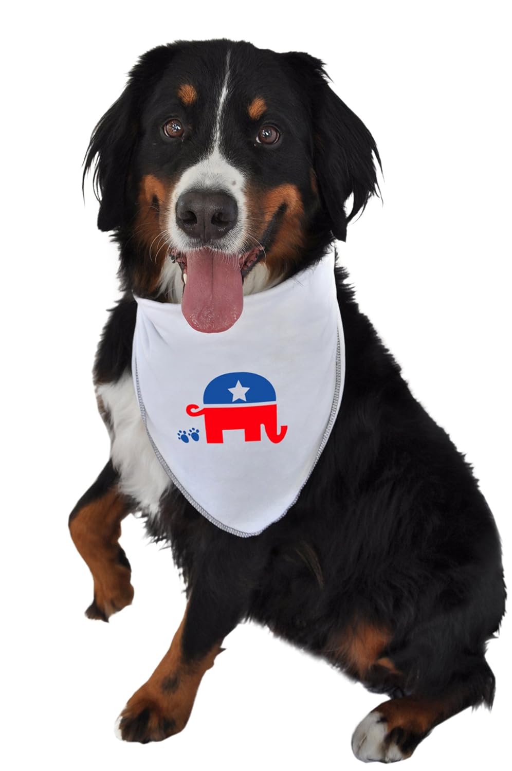 ruff ruff and meow doggie bandana, republican, white, small