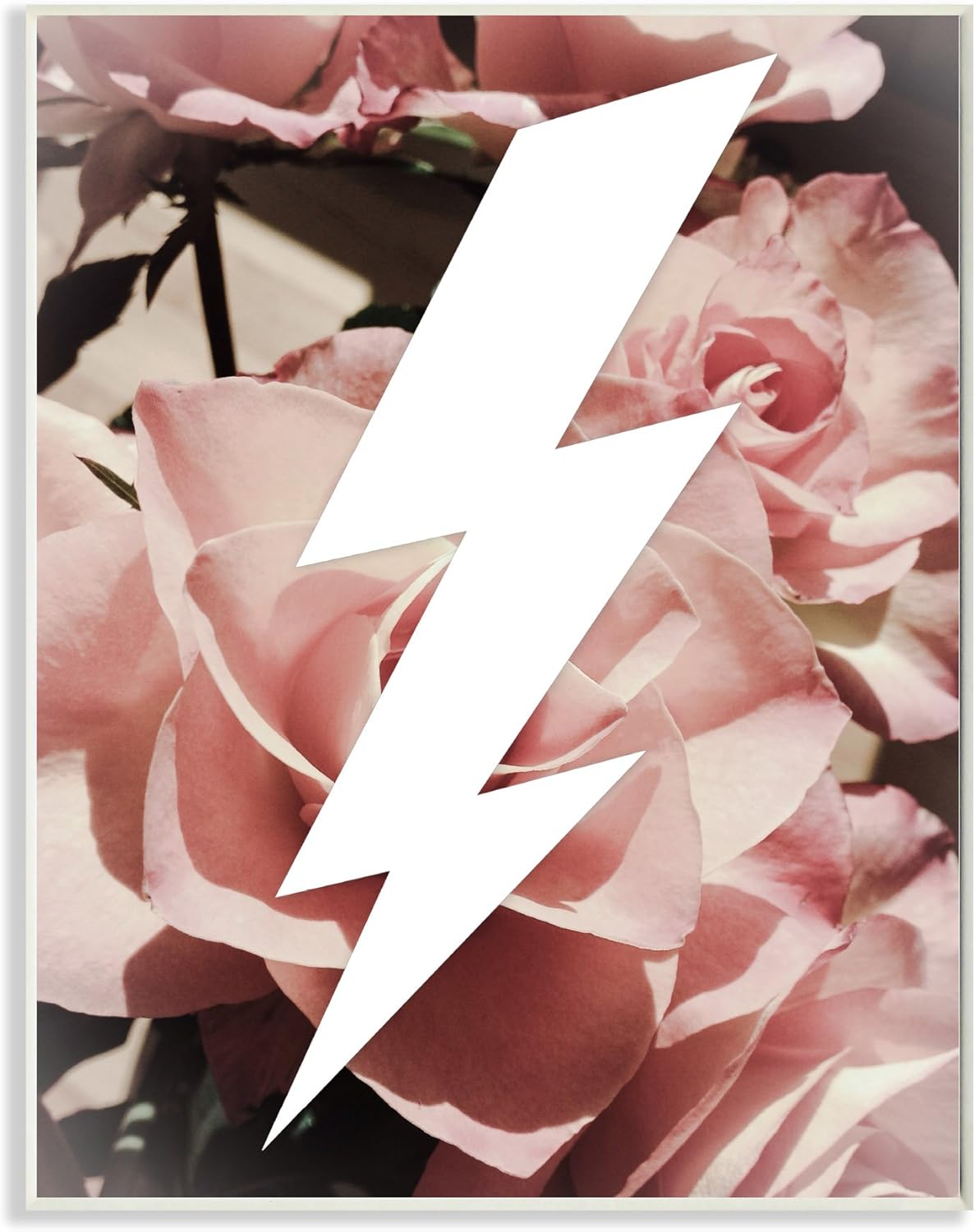 stupell 家居装饰图形闪电螺栓和玫瑰墙饰板艺术,25.4 x 1.27 x 38.