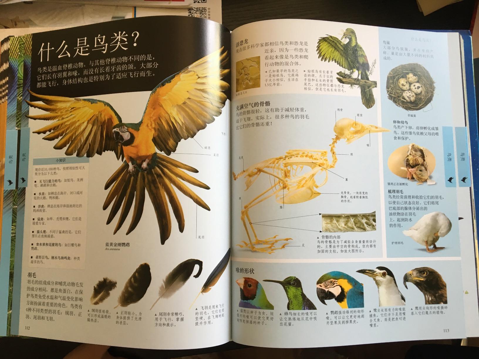 dk儿童动物百科全书(第2版) 已加入购物车