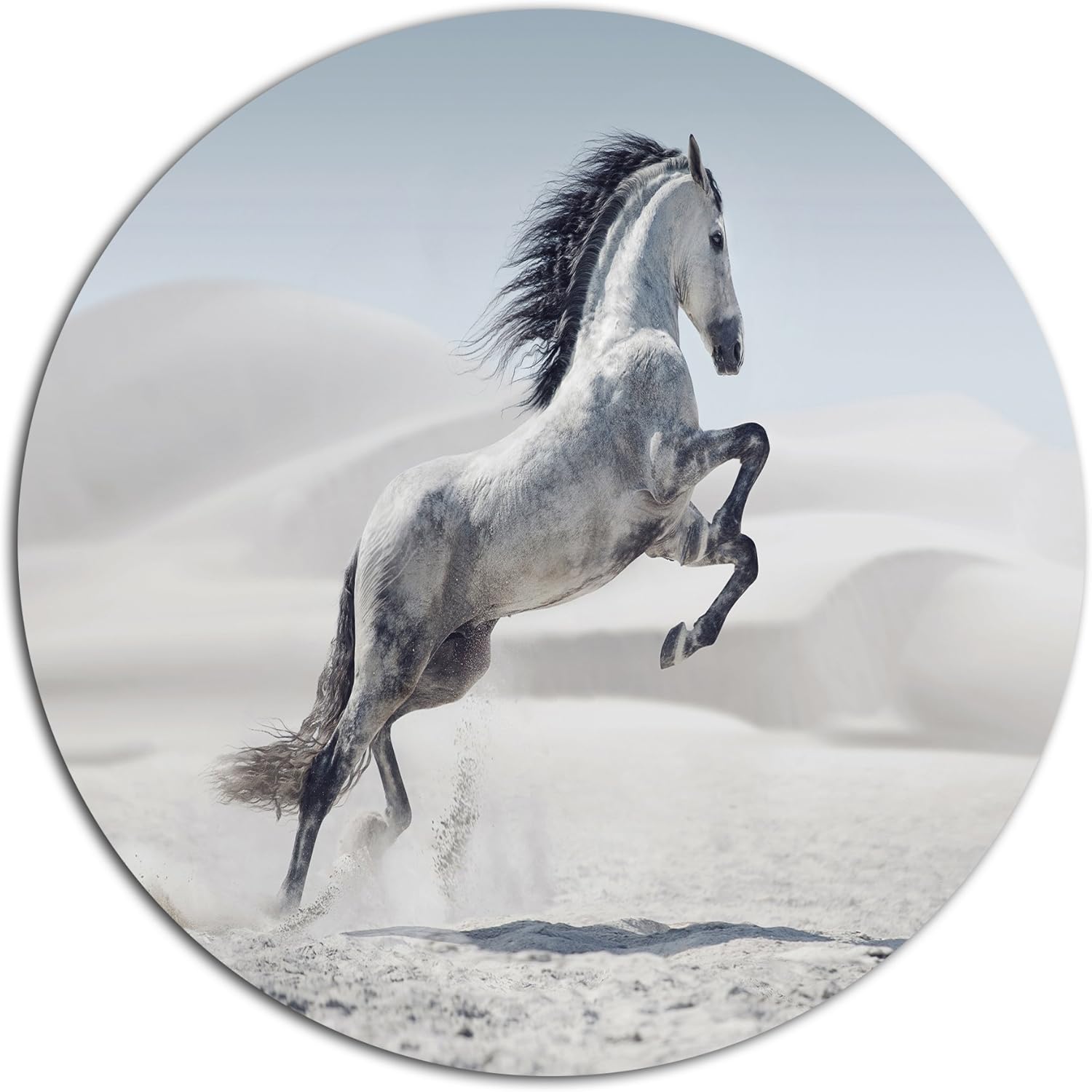 designart mt13445 c23 galloping 白马动物盘,58.42cm x 58.