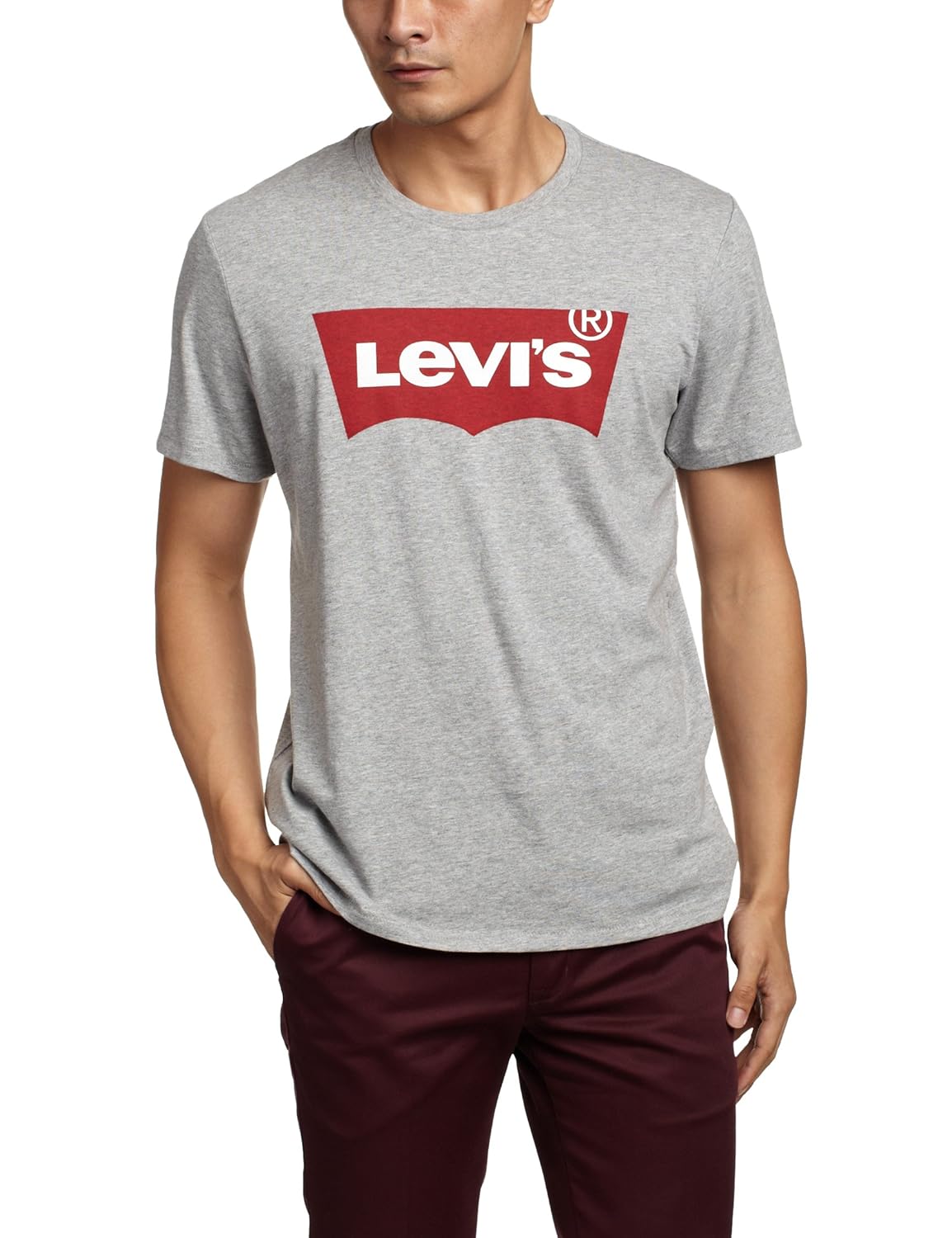 levis 李维斯 s/s knits 男式 短袖t恤 17783-0138 灰色 s